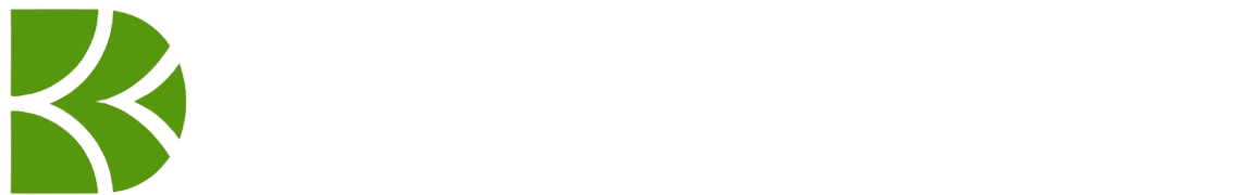 logo_capwise_u